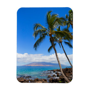 Tropical Beaches Maui Hawaii Island Magnet
