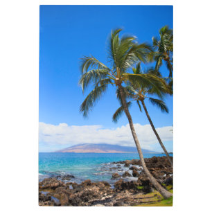 Tropical Beaches Maui Hawaii Island Metal Print