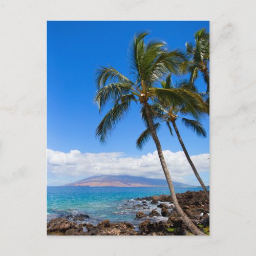 Tropical Beaches  Maui Hawaii Island Postcard