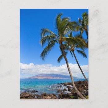 Tropical Beaches | Maui Hawaii Island Postcard by intothewild at Zazzle