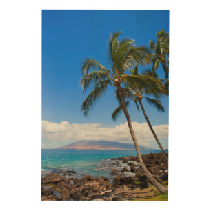 Tropical Beaches Maui Hawaii Island Wood Wall Art