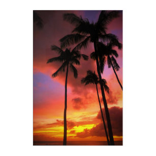 Tropical Beaches   Maui Hawaii Islands Acrylic Print
