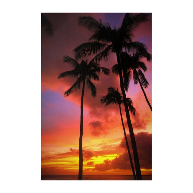 Tropical Beaches | Maui Hawaii Islands Acrylic Print (Front)