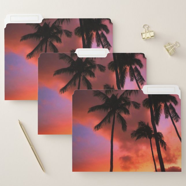 Tropical Beaches | Maui Hawaii Islands File Folder (Set)