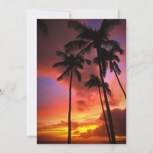 Tropical Beaches  Maui Hawaii Islands Thank You Card