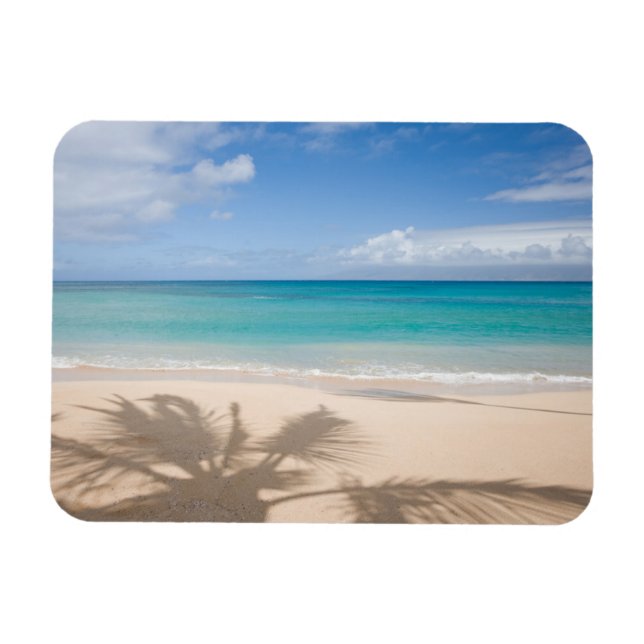 Tropical Beaches | Maui, Hawaii Magnet (Horizontal)