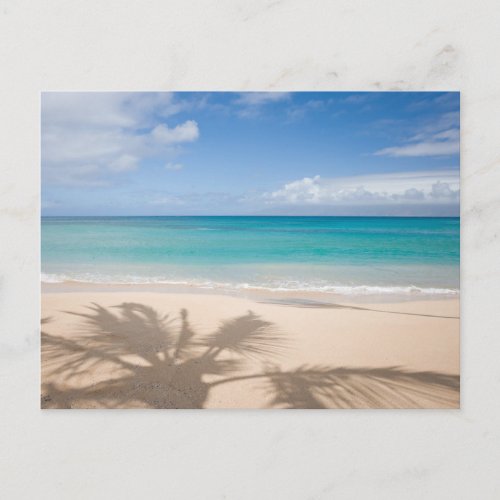 Tropical Beaches  Maui Hawaii Postcard