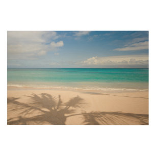 Tropical Beaches Maui, Hawaii Wood Wall Art