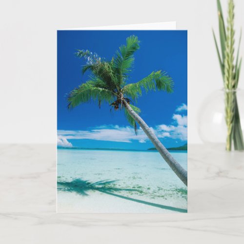 Tropical Beaches  Motu Tofari Beach Bora Bora Card