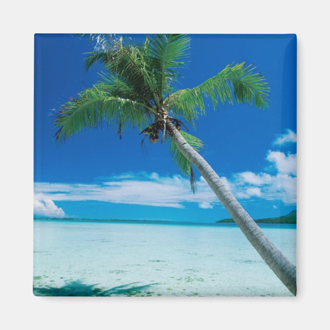 Tropical Beaches | Motu Tofari Beach, Bora Bora Magnet (Front)