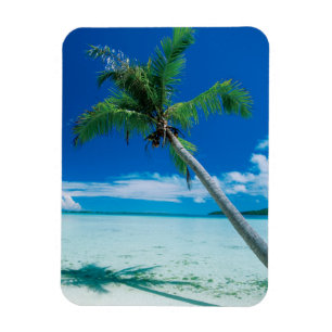 Tropical Beaches Motu Tofari Beach, Bora Bora Magnet