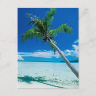 Tropical Beaches Motu Tofari Beach, Bora Bora Postcard