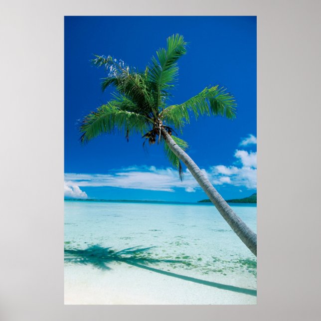 Tropical Beaches | Motu Tofari Beach, Bora Bora Poster (Front)