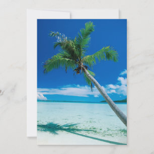 Tropical Beaches Motu Tofari Beach, Bora Bora Thank You Card