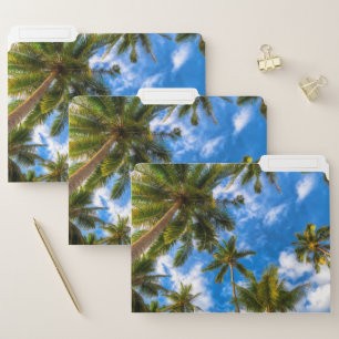 Tropical Beaches   Palm Trees on Blue Sky File Folder