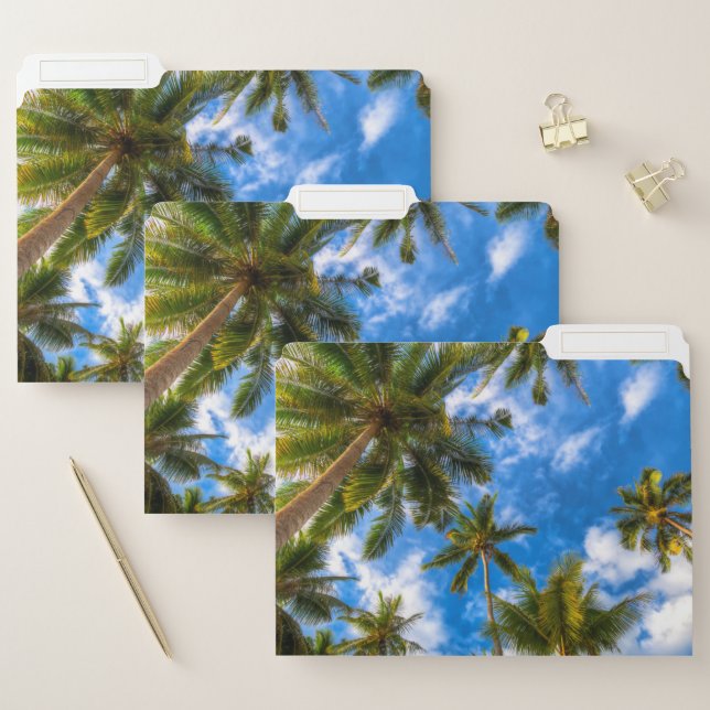 Tropical Beaches | Palm Trees on Blue Sky File Folder (Set)