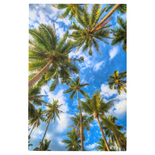 Tropical Beaches | Palm Trees on Blue Sky Metal Print (Front)