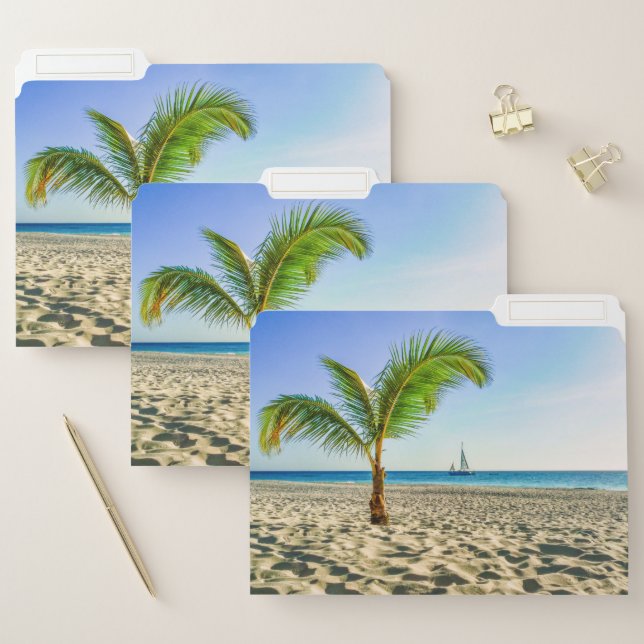 Tropical Beaches | Sailboat, Palm Tree, Aruba File Folder (Set)