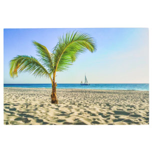 Tropical Beaches   Sailboat, Palm Tree, Aruba Metal Print