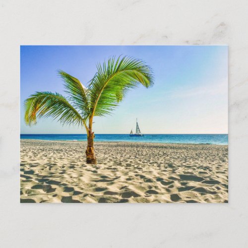 Tropical Beaches  Sailboat Palm Tree Aruba Postcard