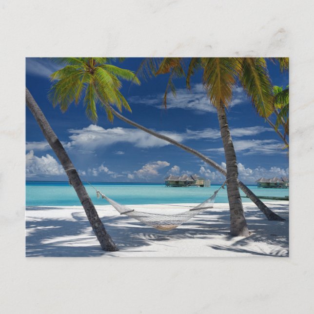 Tropical Beaches | Sandy Beach, Maldives Postcard (Front)