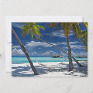 Tropical Beaches   Sandy Beach, Maldives Thank You Card