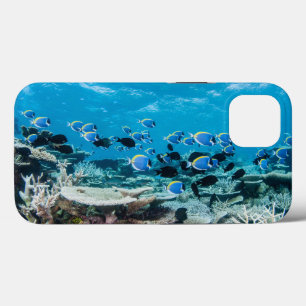 Tropical Beaches   Sturgeon Amongst Coral iPhone 13 Case