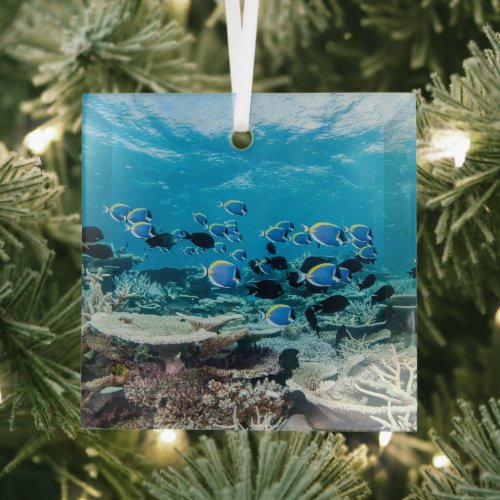 Tropical Beaches | Sturgeon Amongst Coral Glass Ornament