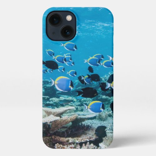 Tropical Beaches  Sturgeon Amongst Coral iPhone 13 Case