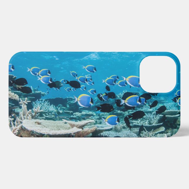 Tropical Beaches | Sturgeon Amongst Coral iPhone Case (Back Horizontal)