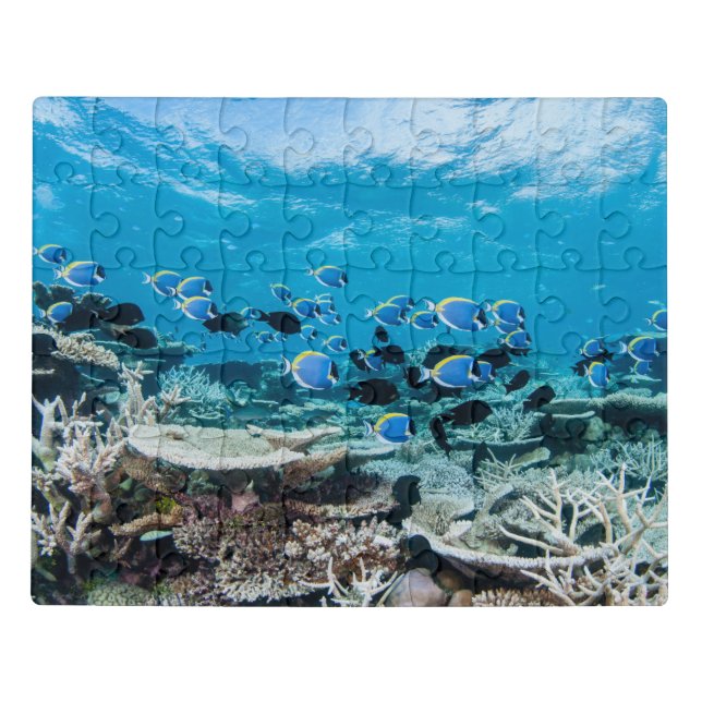 Tropical Beaches | Sturgeon Amongst Coral Jigsaw Puzzle (Puzzle Horizontal)