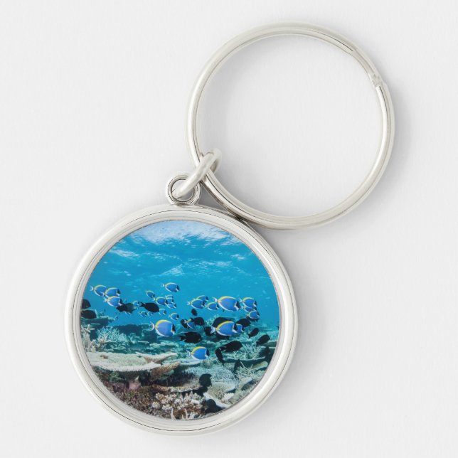 Tropical Beaches | Sturgeon Amongst Coral Keychain (Front)
