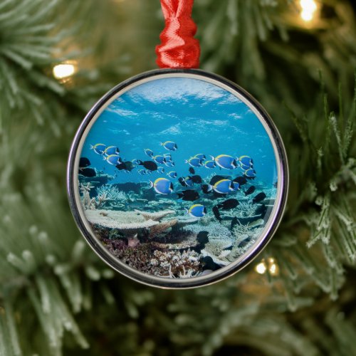 Tropical Beaches | Sturgeon Amongst Coral Metal Ornament