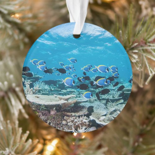 Tropical Beaches | Sturgeon Amongst Coral Ornament