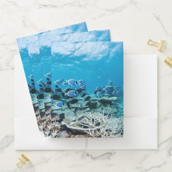 Tropical Beaches | Sturgeon Amongst Coral Pocket Folder by intothewild at Zazzle