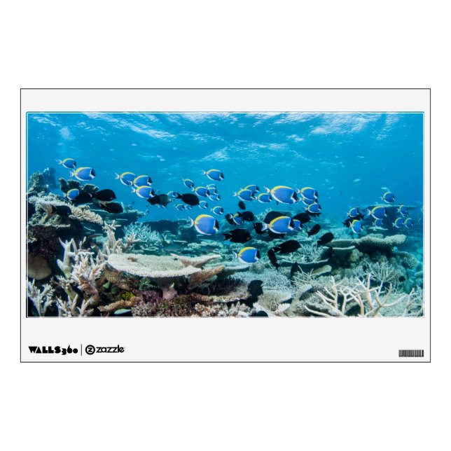 Tropical Beaches | Sturgeon Amongst Coral Wall Decal (Front)