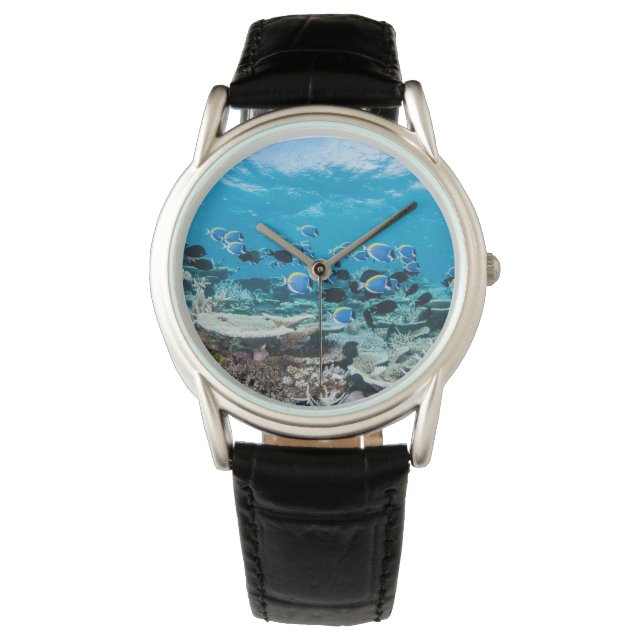 Tropical Beaches | Sturgeon Amongst Coral Watch (Front)