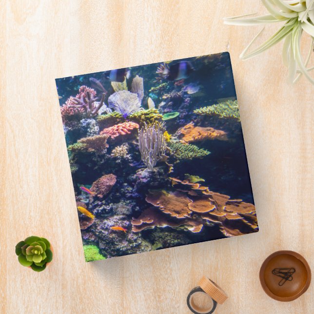 Tropical Beaches | Underwater Coral Reef 3 Ring Binder (In Situ)