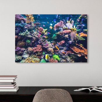 Tropical Beaches | Underwater Coral Reef Canvas Print by intothewild at Zazzle