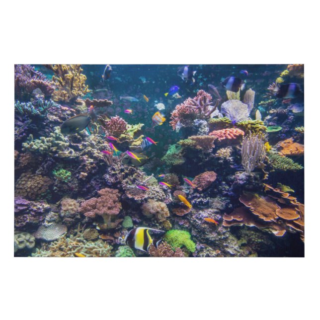 Tropical Beaches | Underwater Coral Reef Faux Canvas Print (Front)