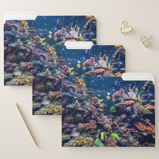 Tropical Beaches | Underwater Coral Reef File Folder (Set)