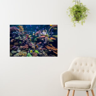 Tropical Beaches Underwater Coral Reef Foam Board
