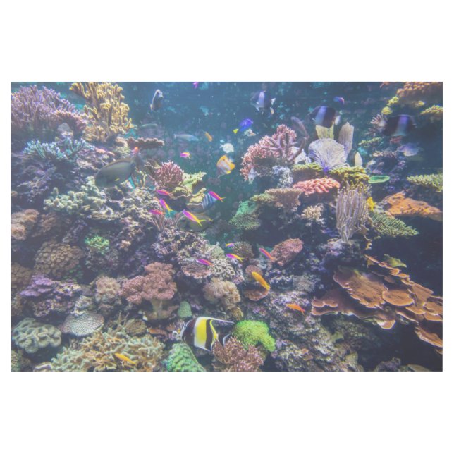 Tropical Beaches | Underwater Coral Reef Gallery Wrap (Front)