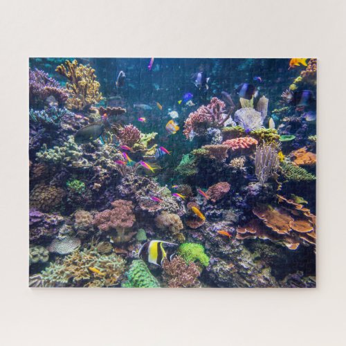 Tropical Beaches  Underwater Coral Reef Jigsaw Puzzle