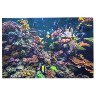 Tropical Beaches Underwater Coral Reef Metal Print