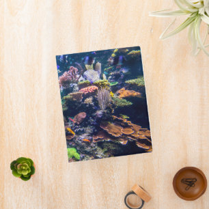 Tropical Beaches Underwater Coral Reef Mini Binder