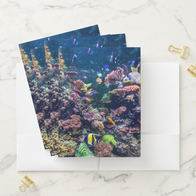 Tropical Beaches | Underwater Coral Reef Pocket Folder (In Situ)