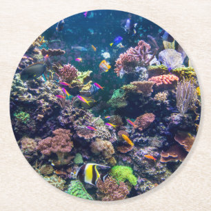Tropical Beaches   Underwater Coral Reef Round Paper Coaster