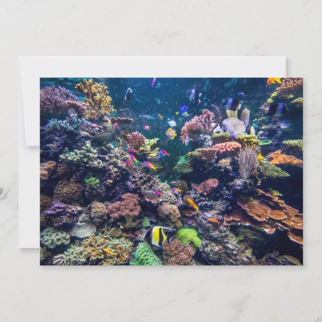 Tropical Beaches | Underwater Coral Reef Thank You Card (Front)