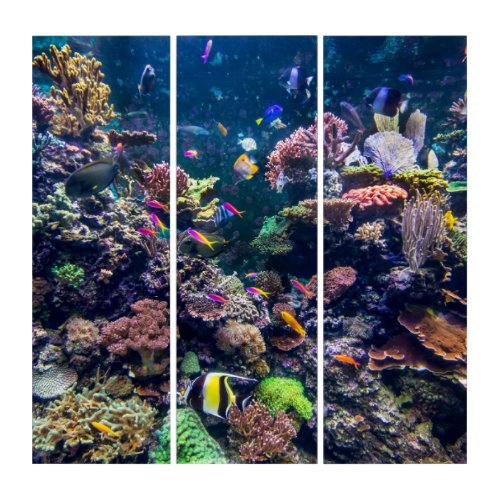 Tropical Beaches  Underwater Coral Reef Triptych